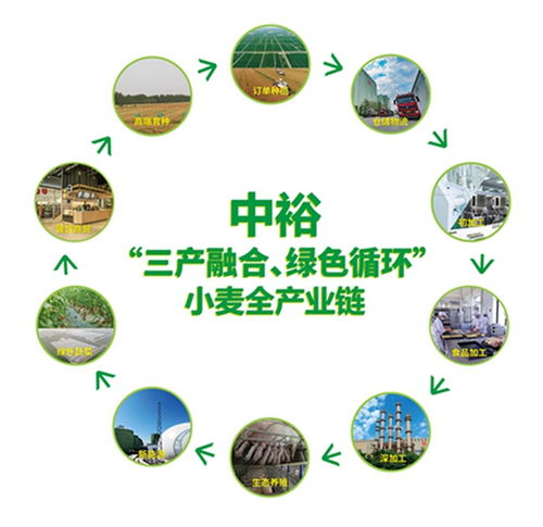 山東濱州 向綠向新，探索餐飲服務業高質量發展新路徑